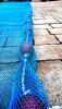 rps20170318_155349.jpg