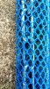 rps20170318_155338.jpg