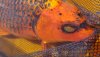 20180609_112446.jpg
