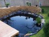 Teichbau 2009b 016.jpg