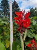 20200904_171627.jpg