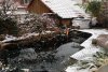 IMG_8685.JPG