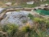 garten1.jpg