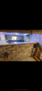 D69DDB72-CD9A-4650-8673-B5E0A4FFEC75.png