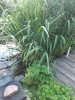 20240626_060846.jpg