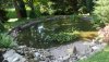 Aktuell_Teich_1.jpg