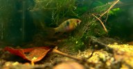 IMG_2397.jpeg