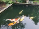 IMG_20260603_211518.jpg