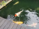 IMG_20260603_211507.jpg