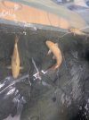 IMG_7103.jpeg