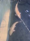 IMG_7125.jpeg