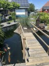 IMG_9155.jpeg