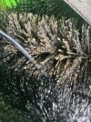 IMG_7712.jpeg