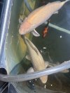 IMG_7600.jpeg