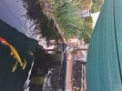 20260731_073743.jpg