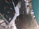 20260731_073707.jpg