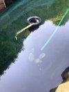 IMG_0133.jpeg