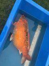 IMG_6370.jpeg