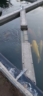 Screenshot_20221103-091153_Gallery.jpg Screenshot_20221103-091153_Gallery.jpg