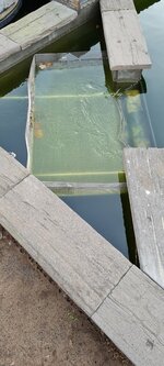 20221108_155515.jpg 20221108_155515.jpg